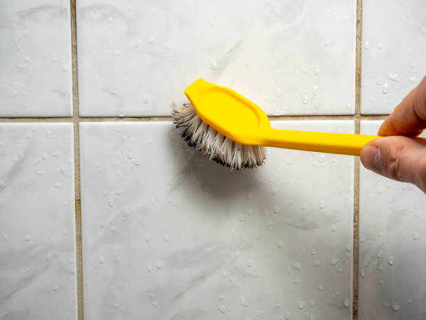 Best Office Mold Removal Services  in Treasure Lake, PA