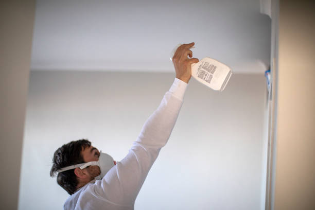 Attic Mold Removal in Treasure Lake, PA