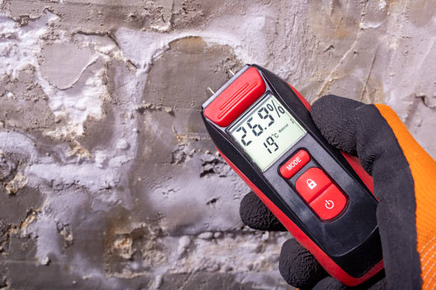 Best Crawl Space Mold Removal  in Treasure Lake, PA